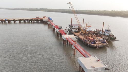 一季度利潤逼近2024年全年,河南國際集團發展解碼