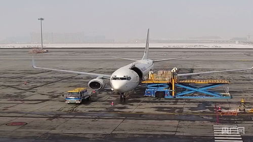 新疆國(guó)際貨運(yùn)包機(jī)業(yè)務(wù)全面恢復(fù)，為國(guó)際物流注入新動(dòng)能